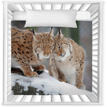 Lynx Nursery Decor 61093973