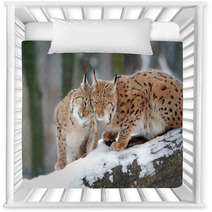 Lynx Nursery Decor 61093977