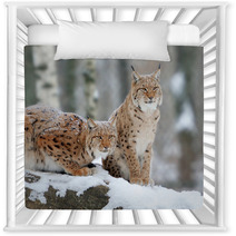 Lynx Nursery Decor 61094014