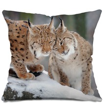 Lynx Pillows 61093973