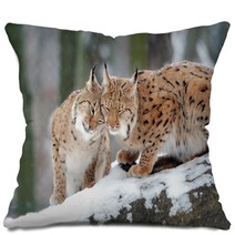 Lynx Pillows 61093977