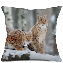 Lynx Pillows 61094014