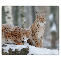 Lynx Rugs 61094014