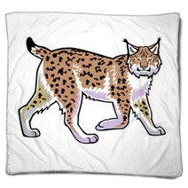 Lynx Vector Isolated On White Blankets 42953791