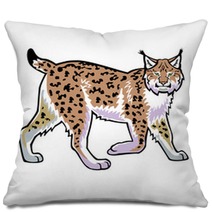Lynx Vector Isolated On White Pillows 42953791