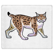 Lynx Vector Isolated On White Rugs 42953791