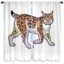 Lynx Vector Isolated On White Window Curtains 42953791