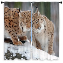 Lynx Window Curtains 61093973