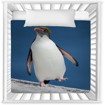 Macaroni Penguin Walking From The Sea Nursery Decor 67661002