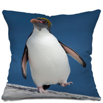 Macaroni Penguin Walking From The Sea Pillows 67661002