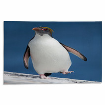 Macaroni Penguin Walking From The Sea Rugs 67661002