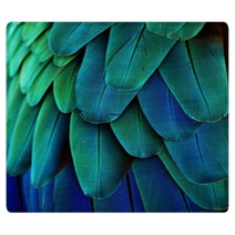 Macaw Feathers (Blue/Green) Rugs 64649675
