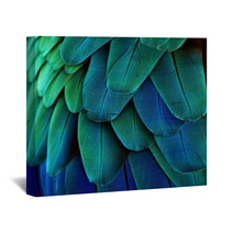 Macaw Feathers (Blue/Green) Wall Art 64649675