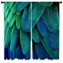 Macaw Feathers (Blue/Green) Window Curtains 64649675