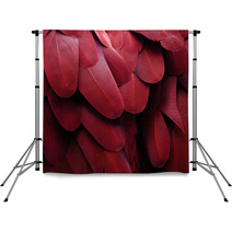 Macaw Feathers (Red) Backdrops 64647360