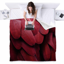 Macaw Feathers (Red) Blankets 64647360