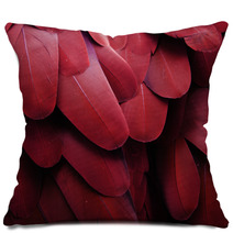 Macaw Feathers (Red) Pillows 64647360