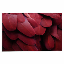 Macaw Feathers (Red) Rugs 64647360