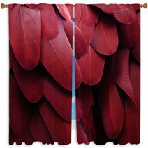 Macaw Feathers (Red) Window Curtains 64647360