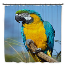 Macaw Parrot Bath Decor 63596794