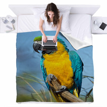 Macaw Parrot Blankets 63596794