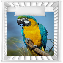 Macaw Parrot Nursery Decor 63596794