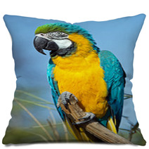 Macaw Parrot Pillows 63596794