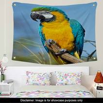 Macaw Parrot Wall Art 63596794