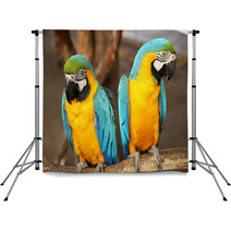 Macaws Backdrops 61056585