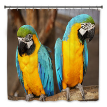 Macaws Bath Decor 61056585