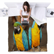 Macaws Blankets 61056585