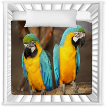 Macaws Nursery Decor 61056585