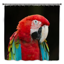 Macaws Parrots Bath Decor 71319062