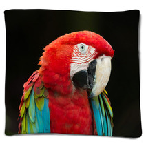 Macaws Parrots Blankets 71319062