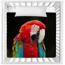 Macaws Parrots Nursery Decor 71319062