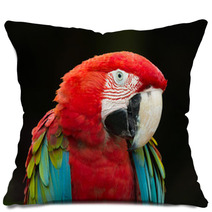 Macaws Parrots Pillows 71319062