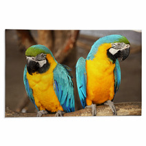 Macaws Rugs 61056585