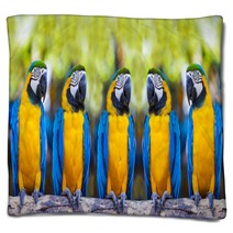 Macaws Sitting On Log. Blankets 53309701