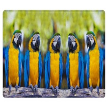 Macaws Sitting On Log. Rugs 53309701
