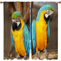Macaws Window Curtains 61056585