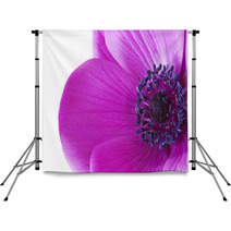 Macro Inside A Purple Anemone Flower Backdrops 49727134