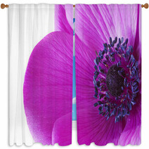 Macro Inside A Purple Anemone Flower Window Curtains 49727134