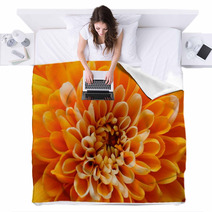 Macro Of Orange Aster Flower Blankets 70720140