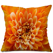 Macro Of Orange Aster Flower Pillows 70720140