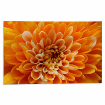 Macro Of Orange Aster Flower Rugs 70720140