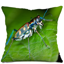 Macro Of Tiger Beetle On Green Leaf At Night Pillows 55068127