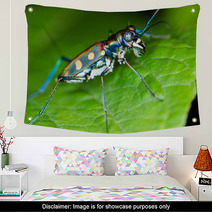 Macro Of Tiger Beetle On Green Leaf At Night Wall Art 55068127