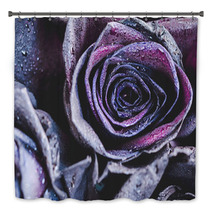 Macro Photography Of Purple Neon Roses With Raindrops Fantasy And Magic Concept Selective Focus Bath Decor 216372804