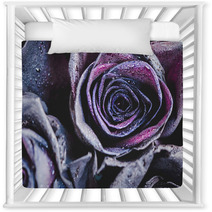 Macro Photography Of Purple Neon Roses With Raindrops Fantasy And Magic Concept Selective Focus Nursery Decor 216372804