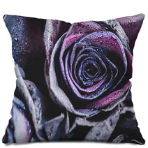 Macro Photography Of Purple Neon Roses With Raindrops Fantasy And Magic Concept Selective Focus Pillows 216372804